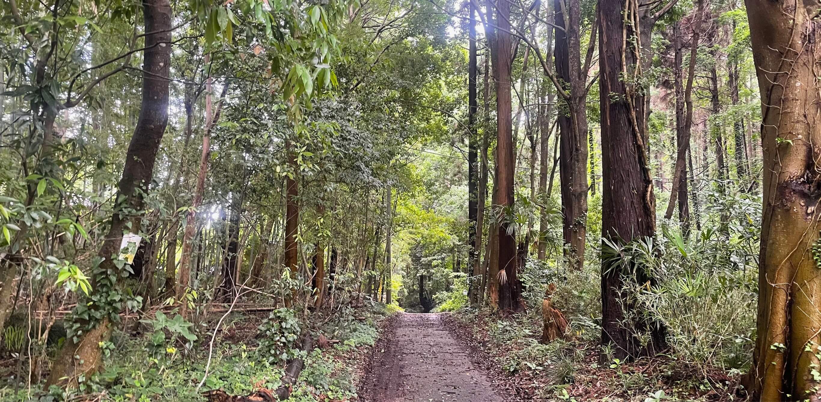 定期点検（オーバーホール）期間について